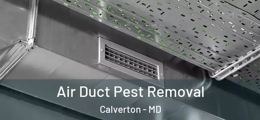  Air Duct Pest Removal Calverton - MD