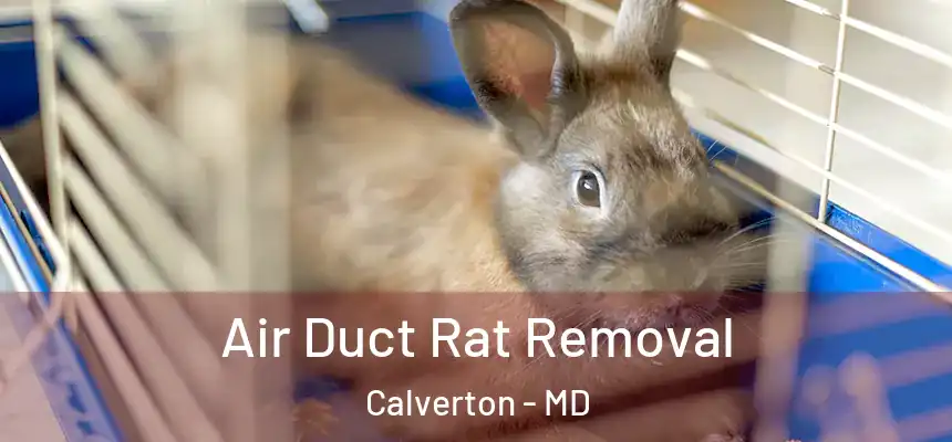  Air Duct Rat Removal Calverton - MD