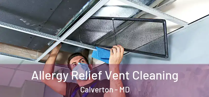  Allergy Relief Vent Cleaning Calverton - MD