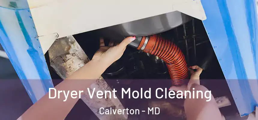  Dryer Vent Mold Cleaning Calverton - MD