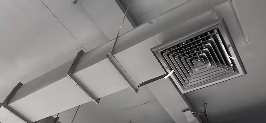 Our Rodent Droppings In Vents Services in Calverton, MD