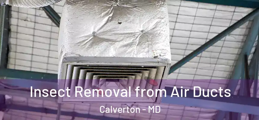  Insect Removal from Air Ducts Calverton - MD