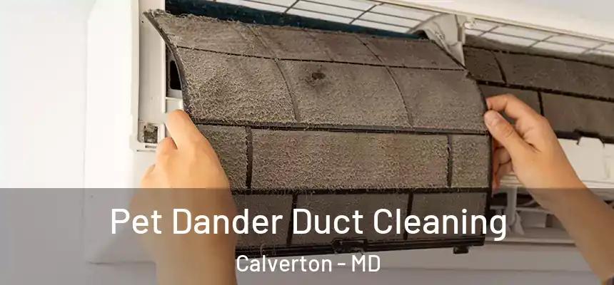  Pet Dander Duct Cleaning Calverton - MD