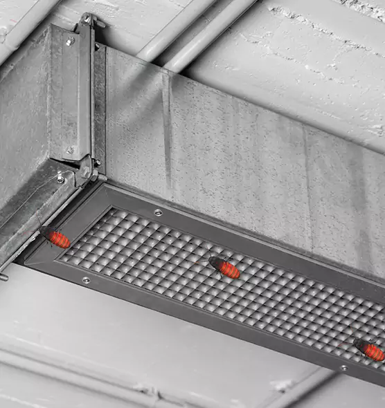 About Air Duct Cockroach Removal in Calverton, MD