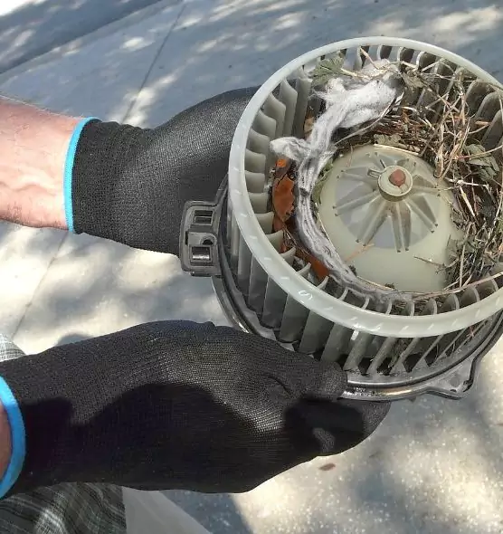 About Air Duct Mice Removal in Calverton, MD