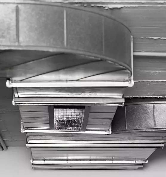 Professional Air Duct Pest Removal in Calverton, MD