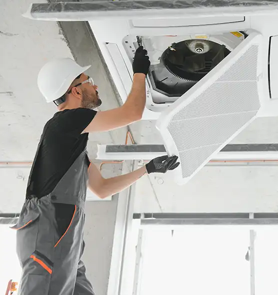 About Air Duct Rodent Removal in Calverton, MD