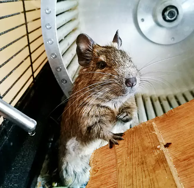 Why Homeowners & Businesses Trust Us Calverton, MD?